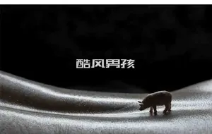 KORA | THE PIGGY 小猪“精”奇之旅 | 全见喷发版