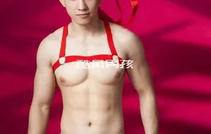 ONLYFANS | 春节福利包 | 写真