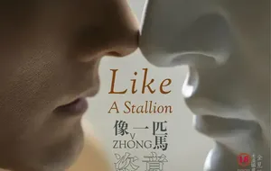 HORMONE NO.11.2 心猿意马-张戈 | 写真