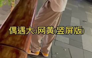 快乐风男-偶遇大J网黄 全集 | 视频